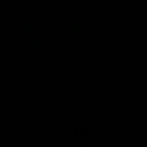 Meet your Posher, Amaree